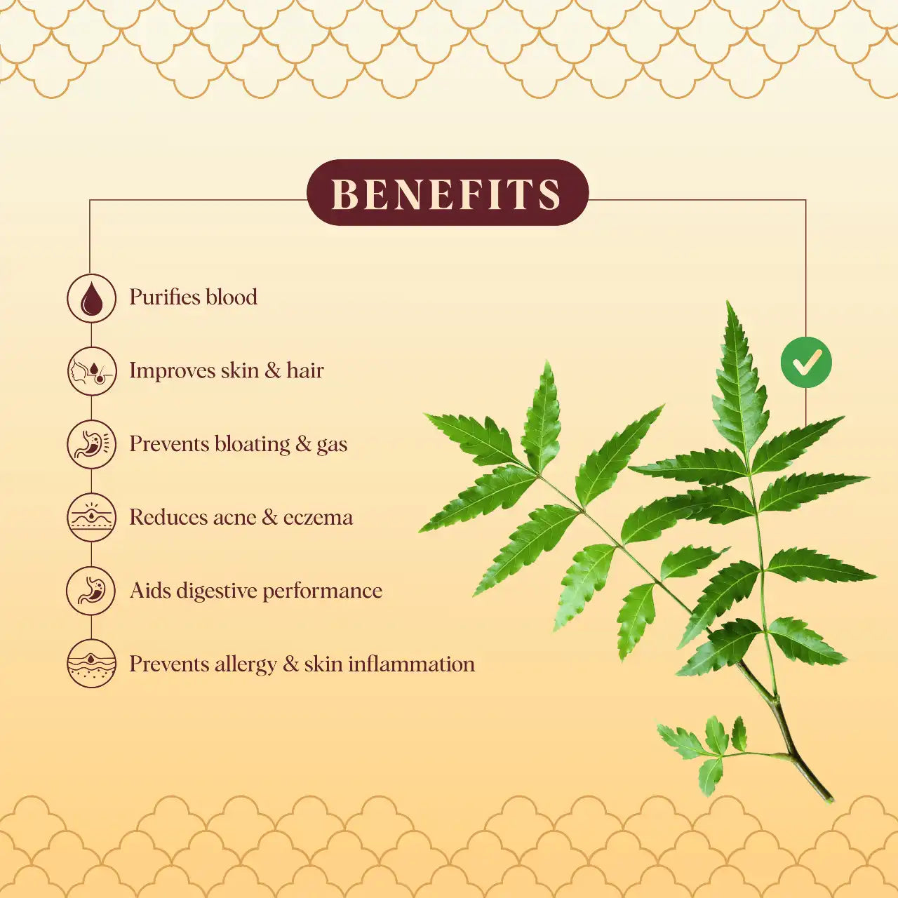 Neem &amp; Peppermint Capsules