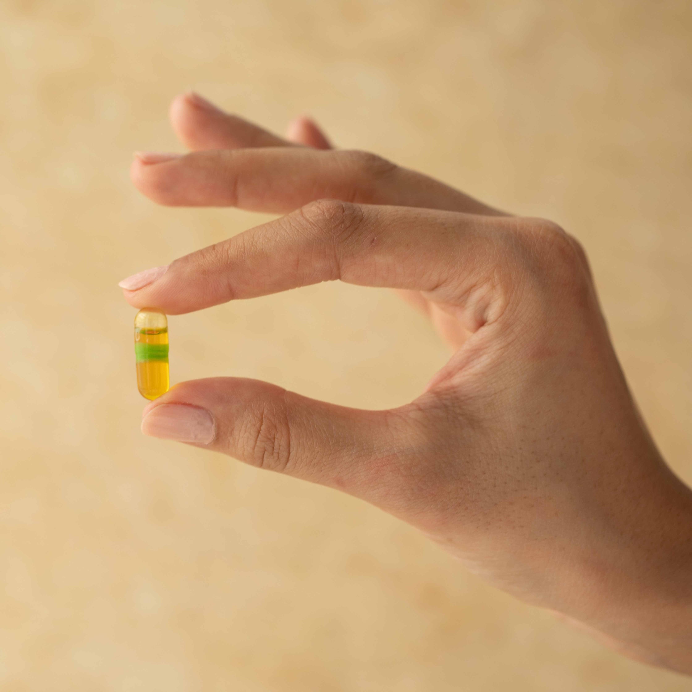 Fenugreek Capsules