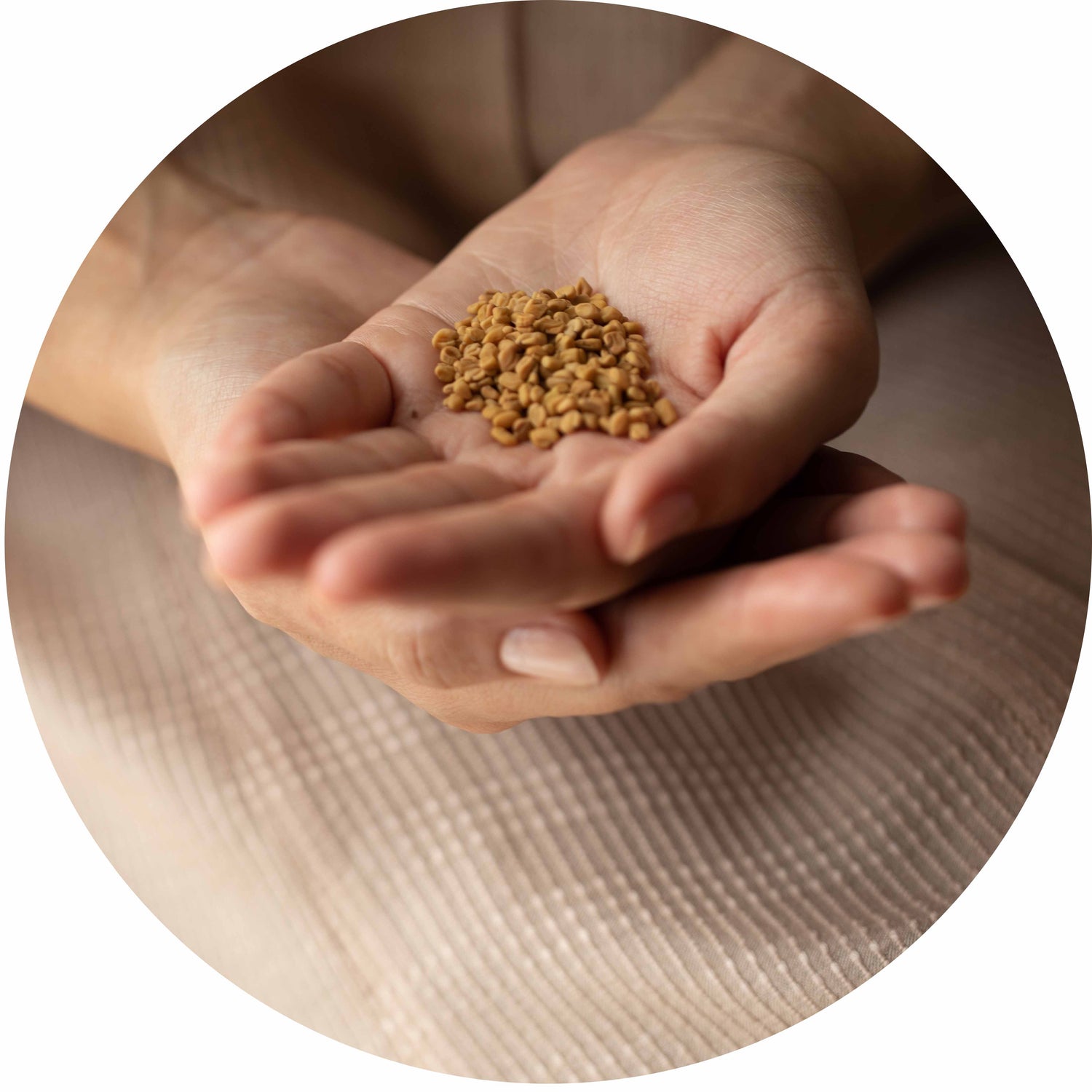 Fenugreek Oil Capsules Ayurvedic Capsules AYURVRIDHI